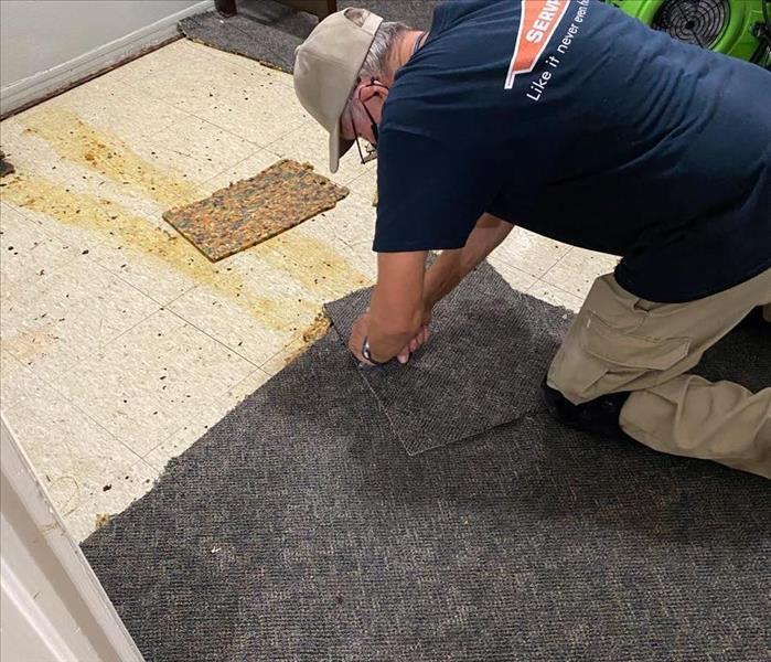 male SERVPRO employee on hands and knees removing carpet 