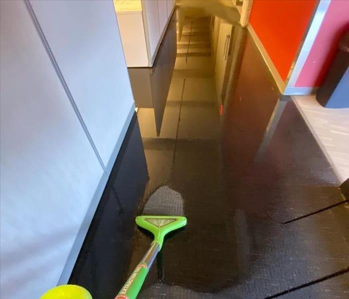 green vacuum cleaning up standing water on carpet in office