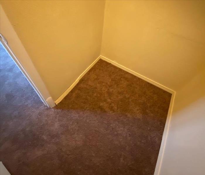Bedroom closet with carpet on the floor