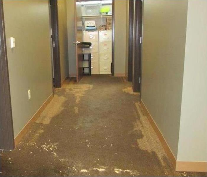 Water Damage in hallway 