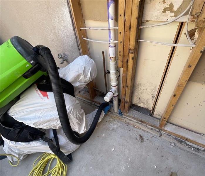 Male SERVPRO employee cleaning mold damage 