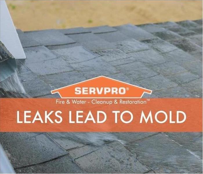 Leaks Lead to Mold with rain on shingles.