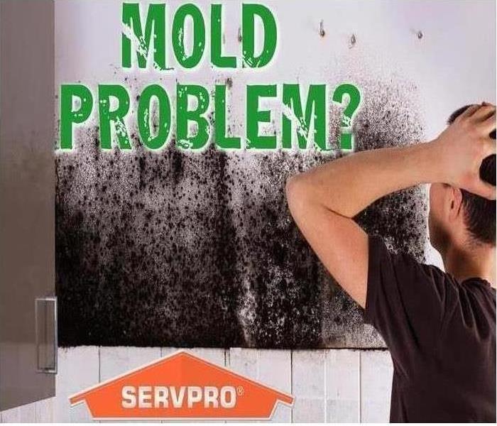 Drywall with the appearance of mold growing on it with the text "Mold Problem" on it.